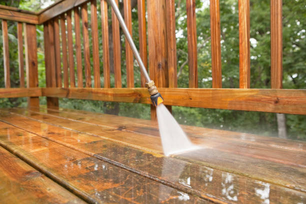 Best Pressure Washing Services Near Me  in Newk, AR